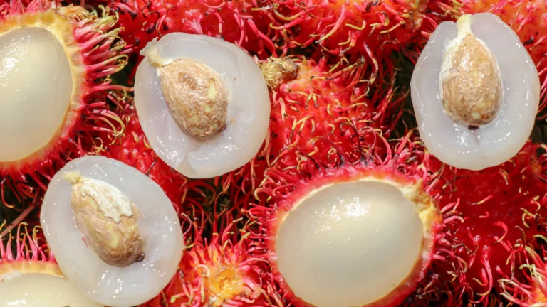 rambutan flesh and seed