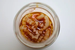 vietnamese pickled daikon in fish sauce