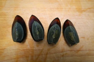 century egg with deep fried tofu